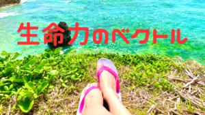 【魂の知恵】生命力のベクトル