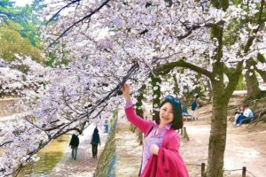 【Short Story】真理とは「春夏秋冬」のように。