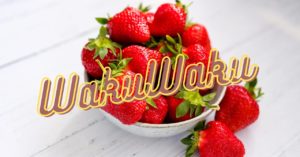 ワクワクには賞味期限がある♪